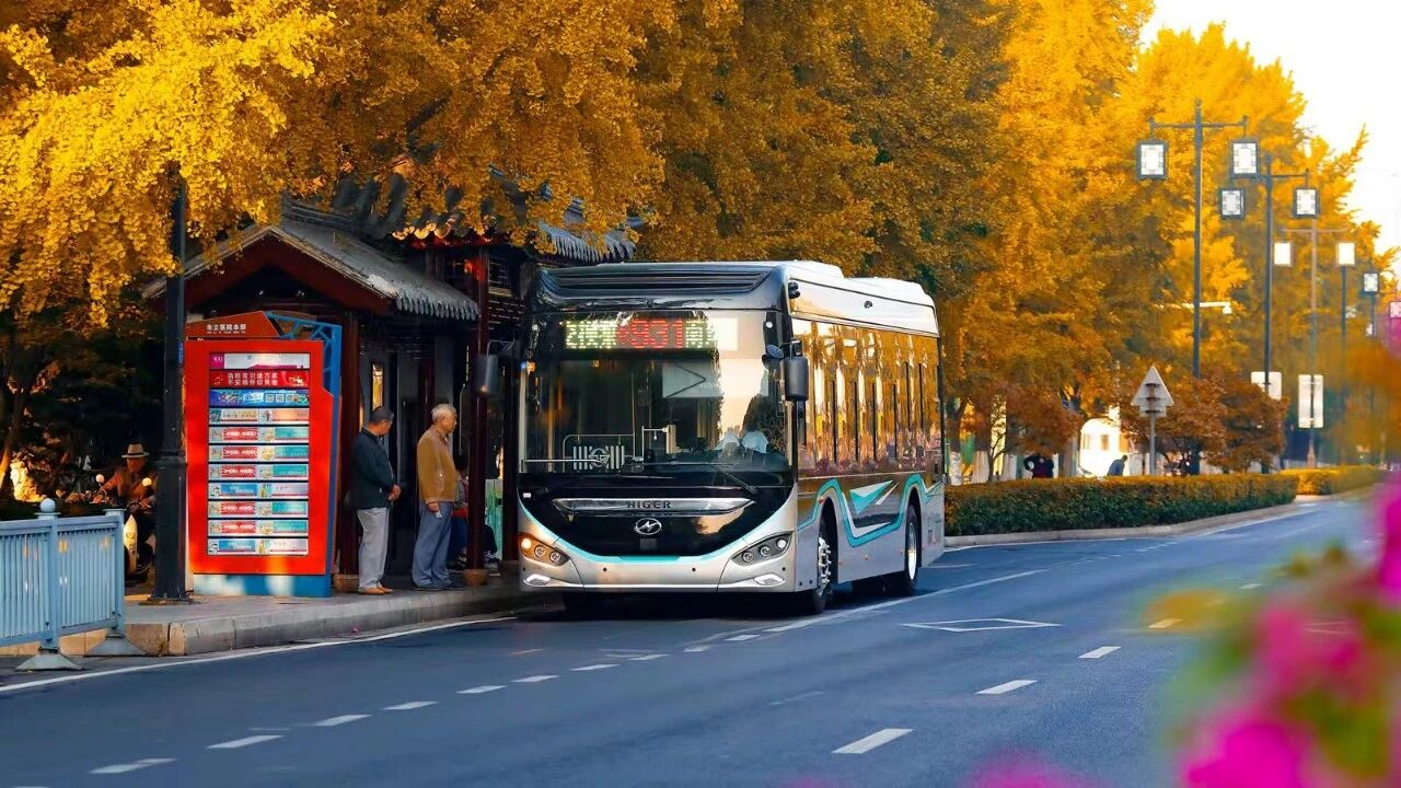 74c13f0f-8b4b-4609-85e4-b6b1c1c3a513.jpg 74c13f0f-8b4b-4609-85e4-b6b1c1c3a513.jpg